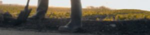 Montana-Dakota Utilities call 811 know what's below call before dig