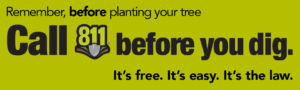 call 811 before you plant your tree