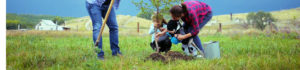 Montana-Dakota Utilities Energy Saving Trees Giveaway