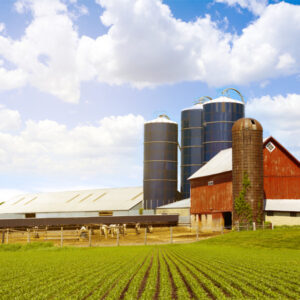 dairy_farm