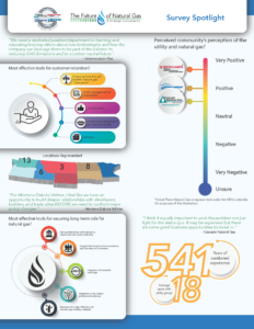 future of natural gas survey spotlight