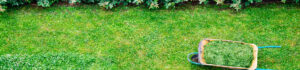 landscaping guidelines